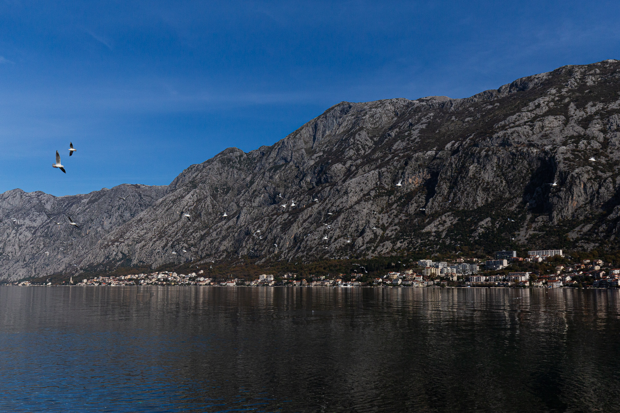 Image of Villa for Sale in Kotor-Prcanj-Montenegro, Image 65